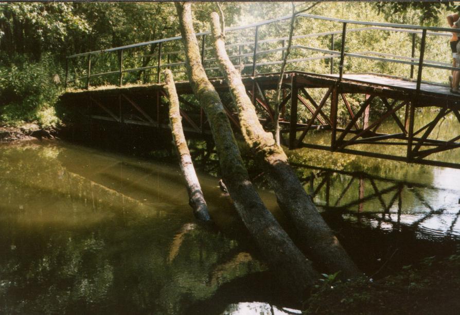 Brücke unterhalb Klein Raden