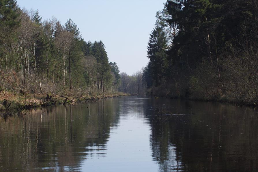 Breitenburger Kanal im Frühjahr