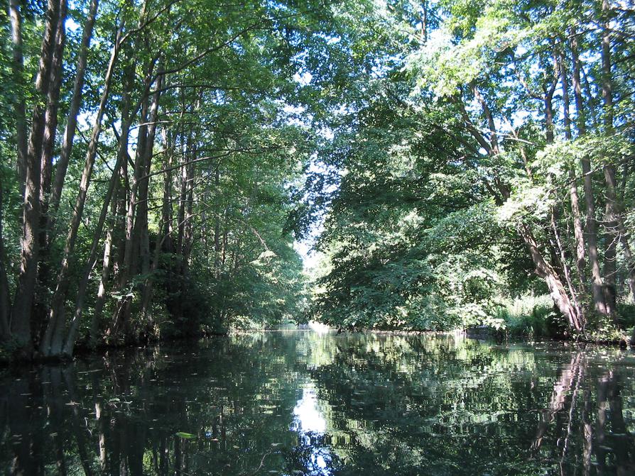 Bolter Kanal im Müritz-Nationalpark