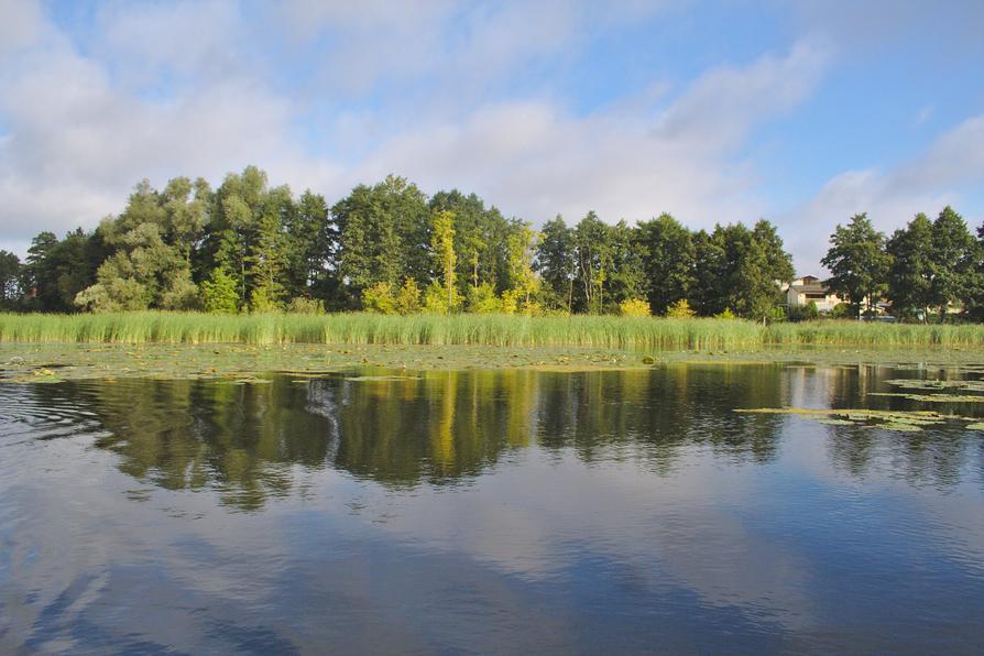 Der Borkower See