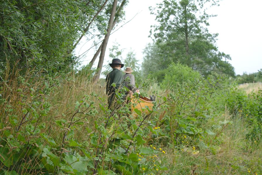 doofe Umtrage bei Hopfenburg