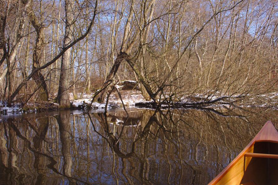 Schwentine Wildnis bei Klausdorf