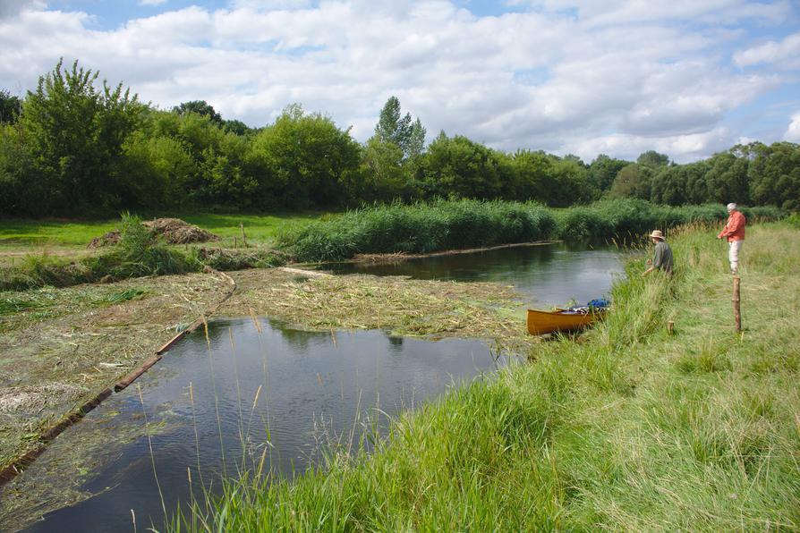 Krautsperre auf der Tollense