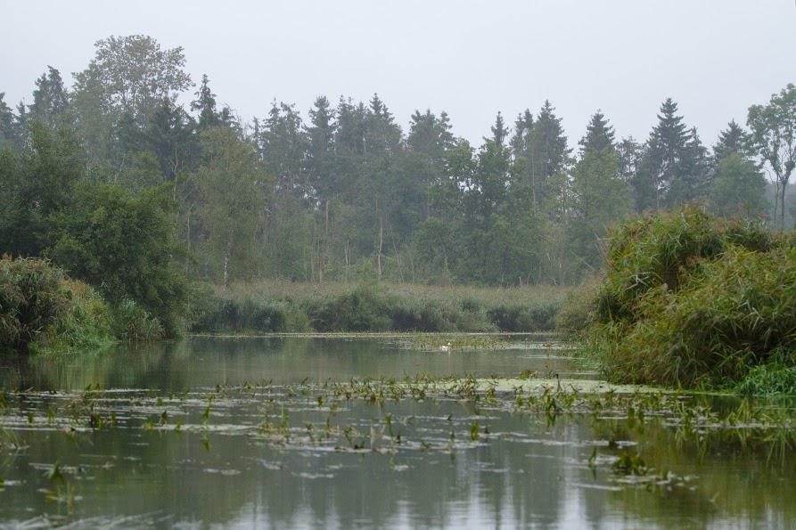 Salzmoor vor Bad Oldesloe