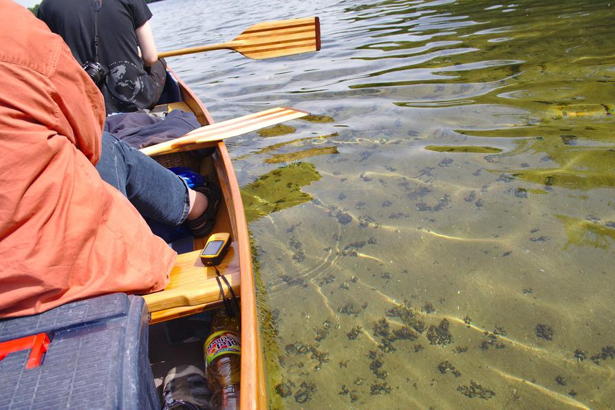 Kanu auf dem Kleinen Plöner See