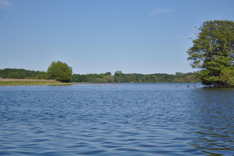 Lanker See in Preetz