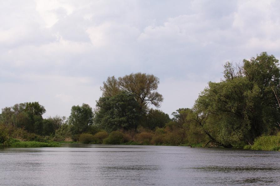 Gülper Havel, Altarm bei Galberg Mühle