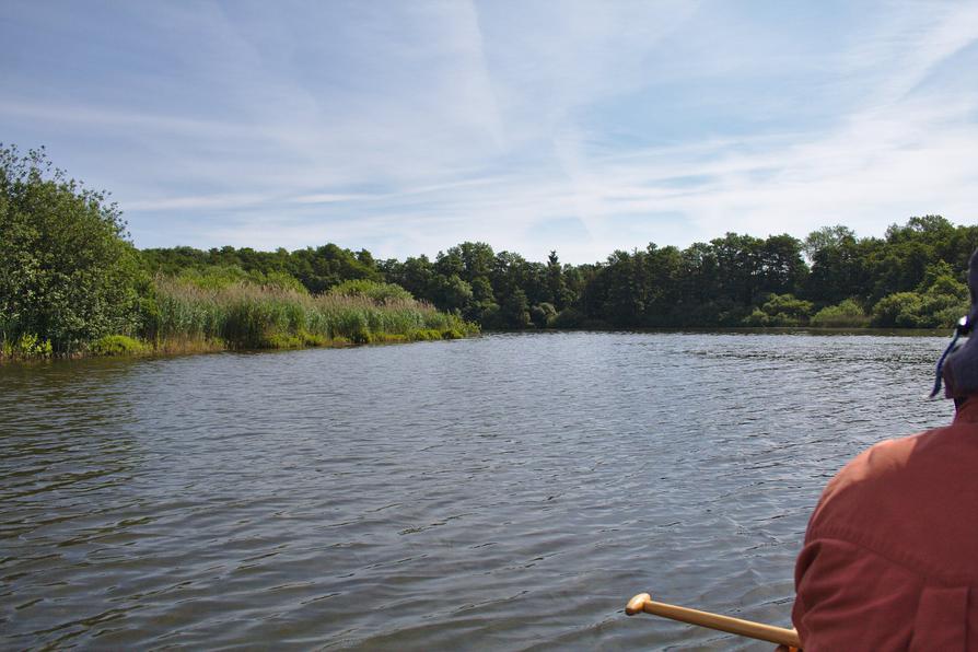 Die Rohrdommelbucht vom Großen Plöner See Die Rohrdommelbucht vom Großen Plöner See