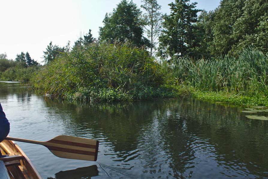 abwechslungsreiche Ufer an der Recknitz