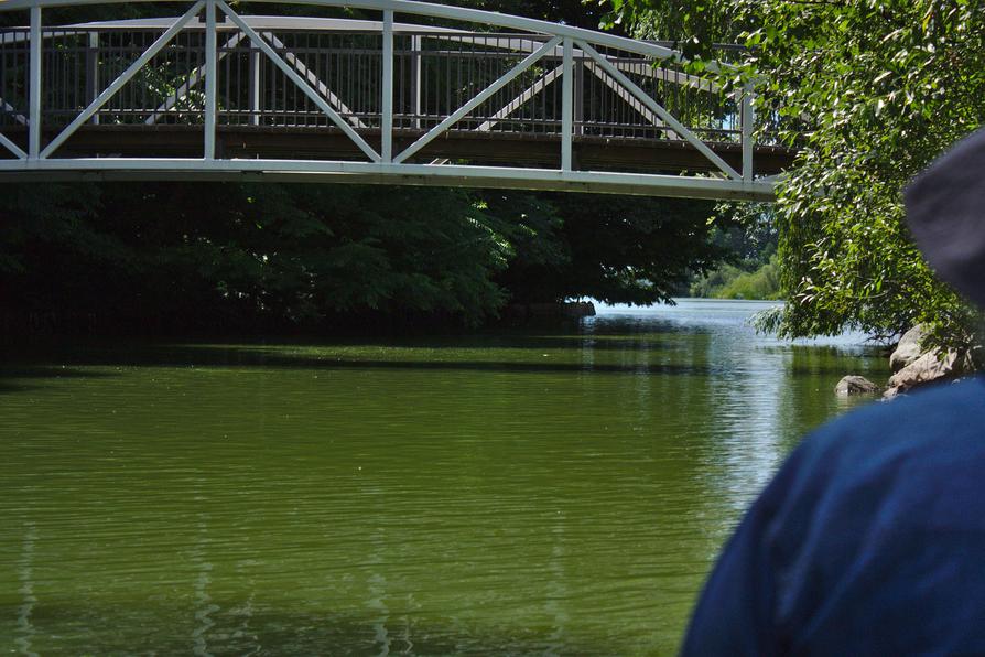 Wallberg-Brücke in Preetz über der Schwentine