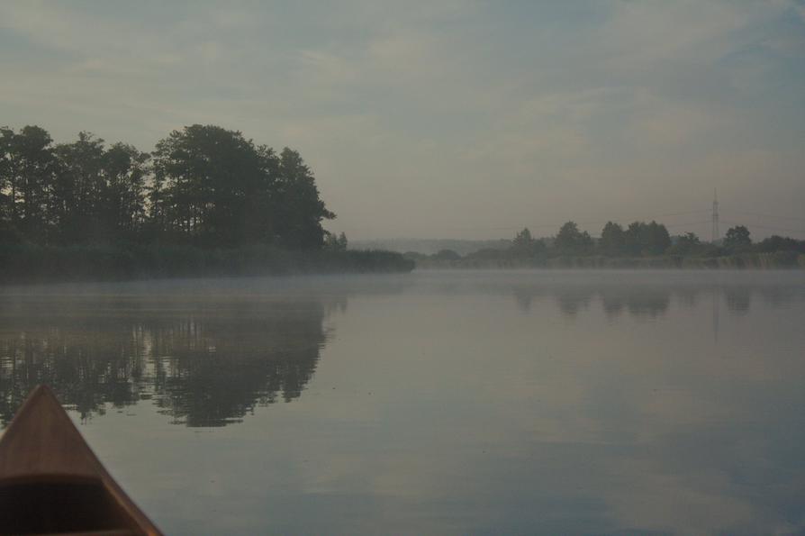 Nebel über der Peene