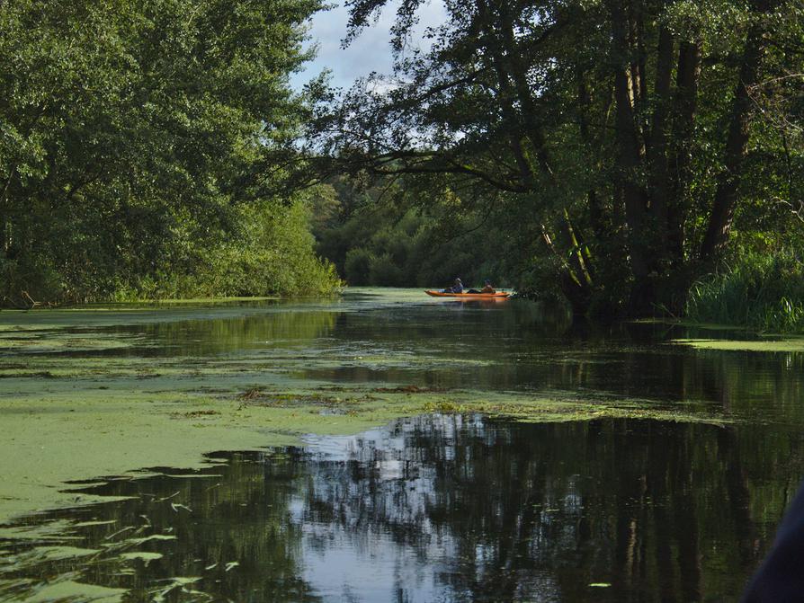 Schwentine vor Preetz