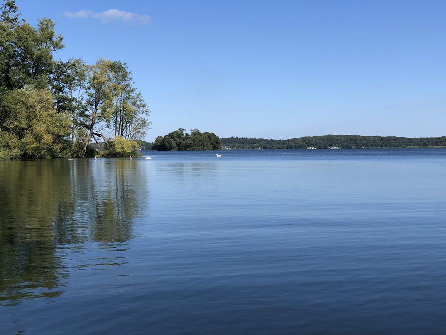 Bucht im Großen Plöner See