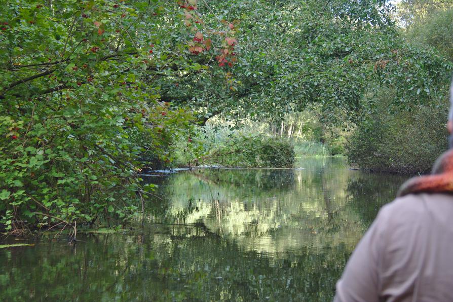 Wildnis an der Schwentine Wildnis an der Schwentine