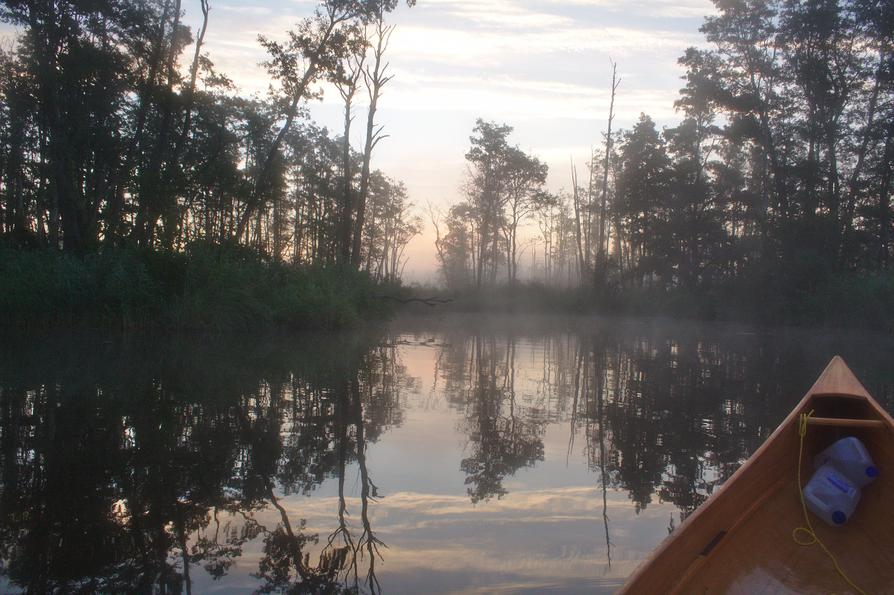 morgens an der Peene bei Priemen