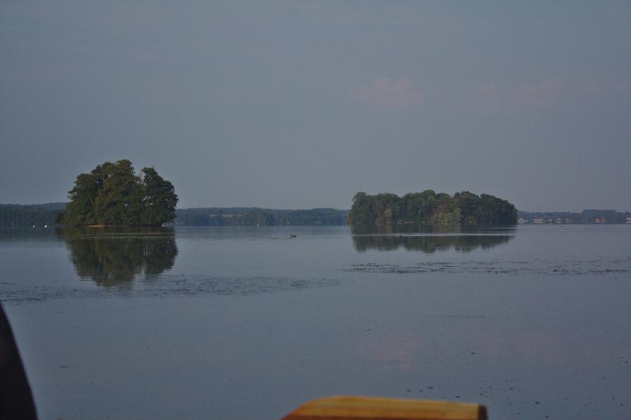 Inselwelt im Großen Plöner See