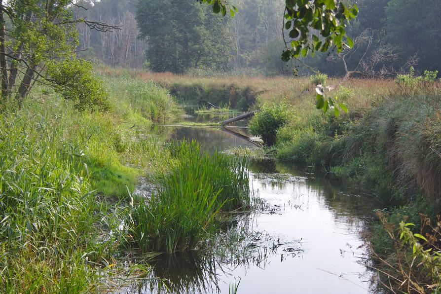 Randow vor dem Wehr