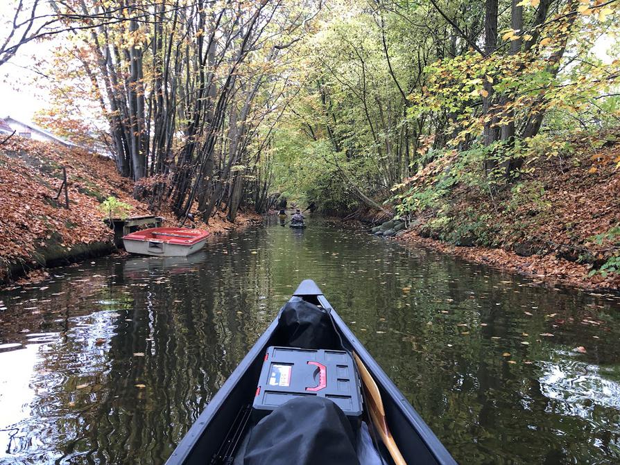 die Paddel-Allee in Eutin