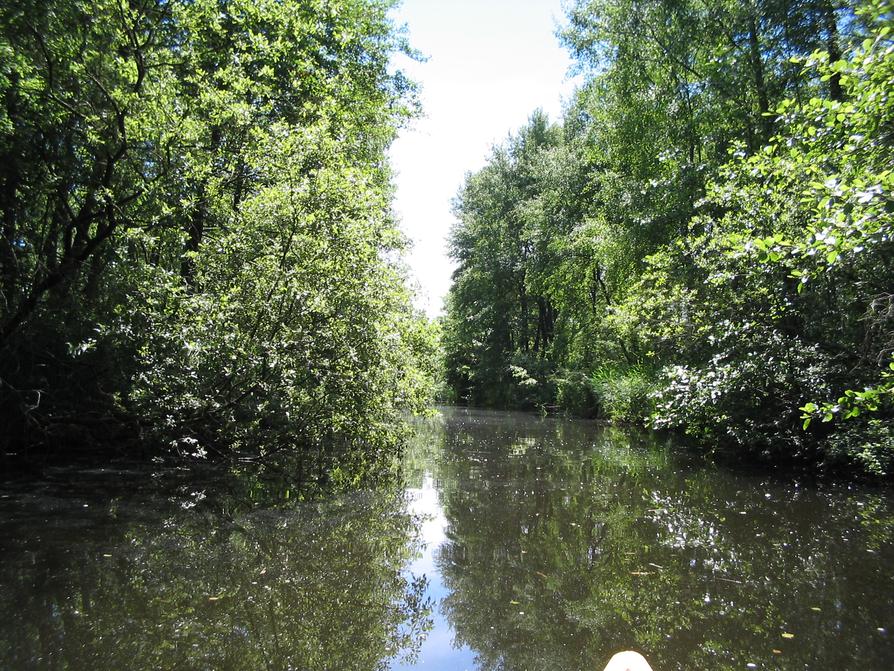 Havel vor Blankenförde