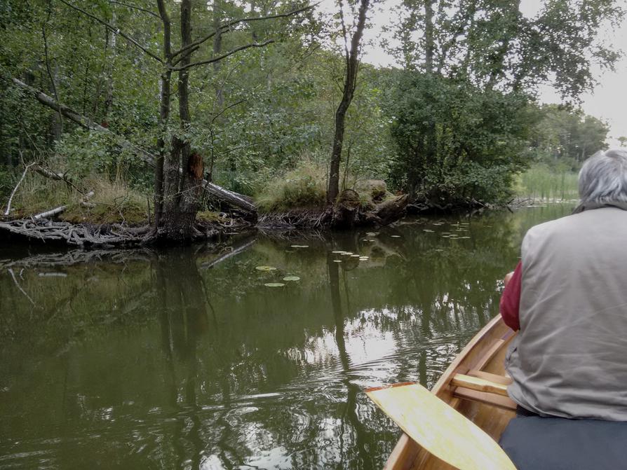 Kanal zwischen Nebelsee und Thüren