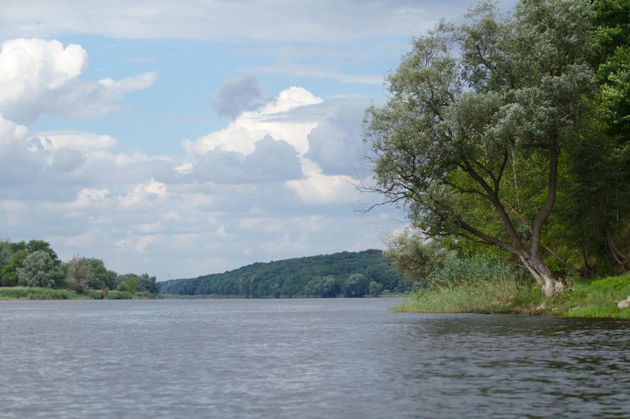 Die Oder / Odra bei Ognica