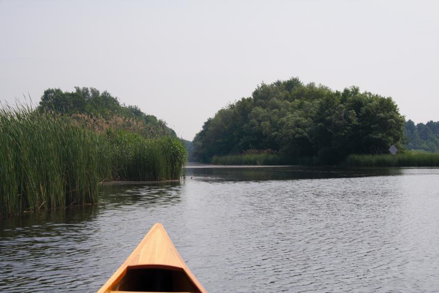 im Köthener See