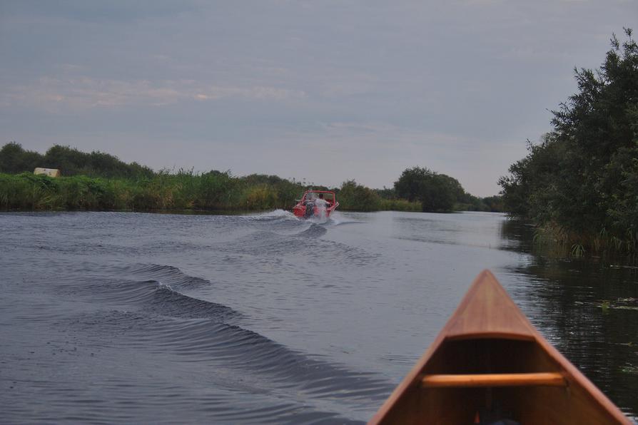 Motorboot in der Neukalener Peene