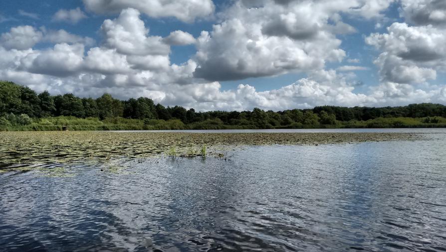 der Schulensee der Schulensee