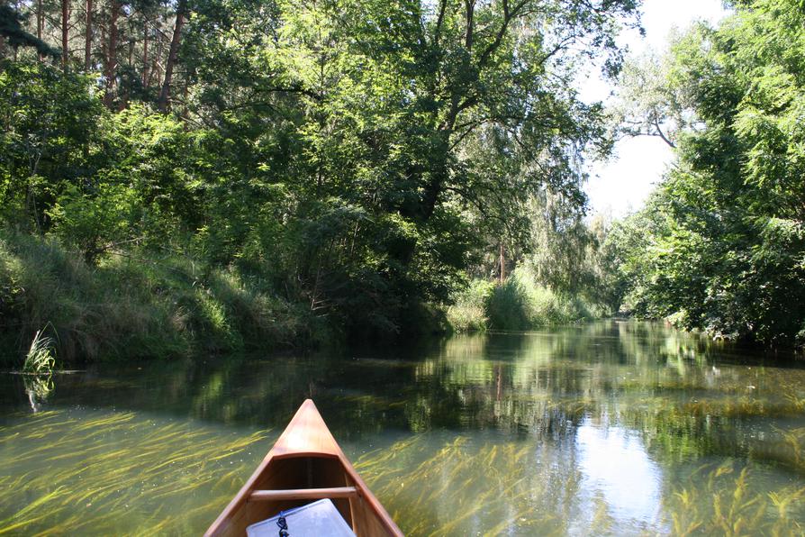 Quappendorfer Kanal bei Neufriedland