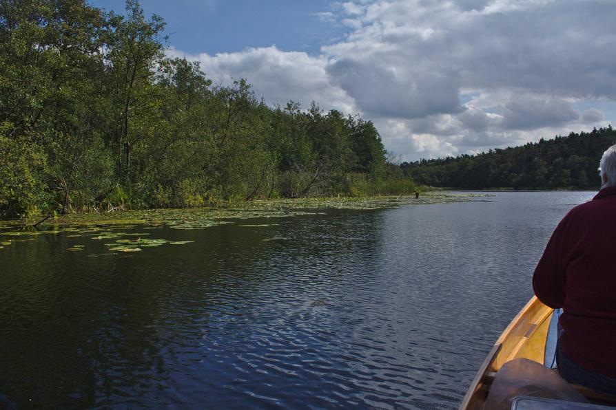 auf dem Pipersee