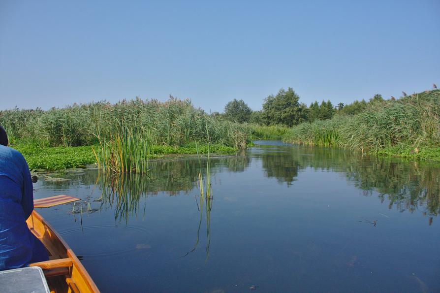 Wasser-Wildnis auf der Recknitz