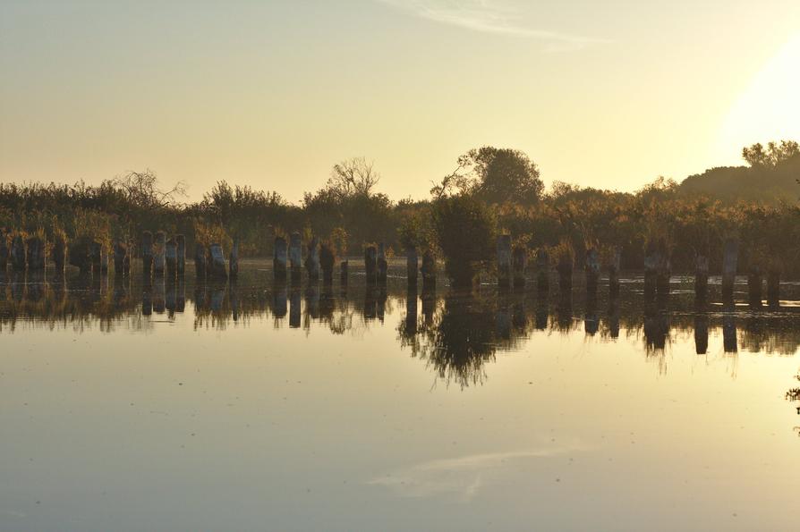 Sonnenaufgang an der Peene