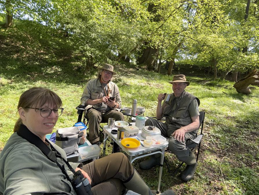 Picknick-Pause