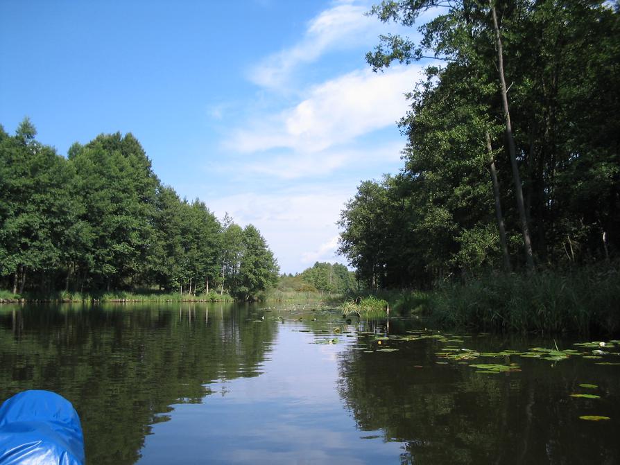 Vor dem Großen Kuhwallsee