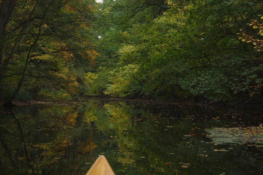 Schwentine im Herbstlaub