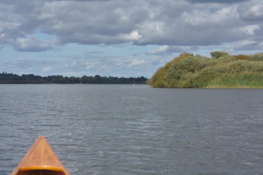 Silberreiher auf dem Lanker See