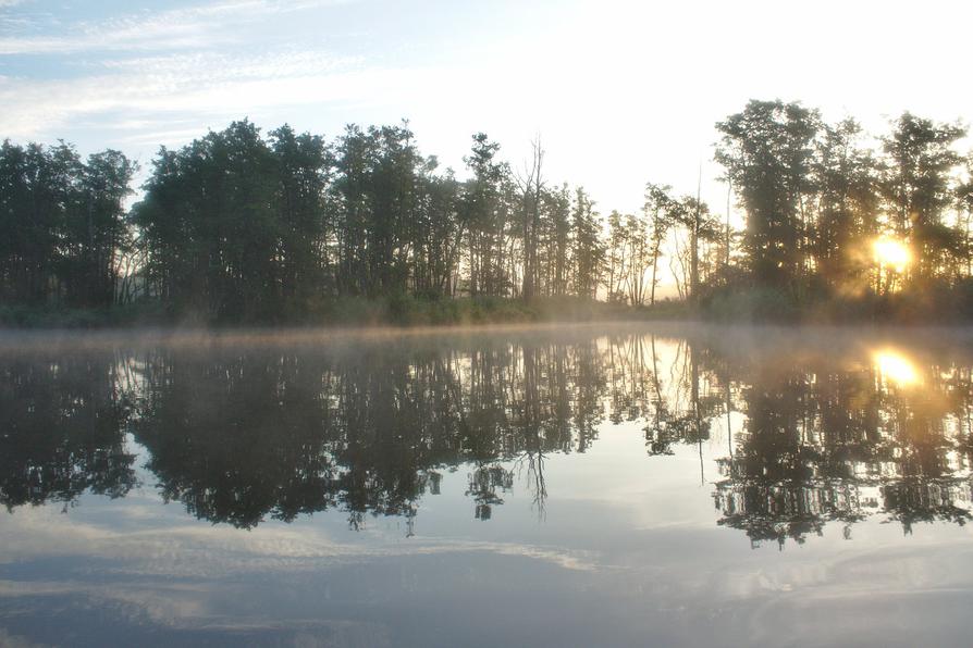 Sonnenaufgang an der Peene