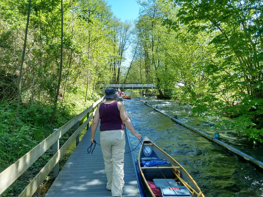 Fisch-Kanu-Pass in Plön Spitzenort