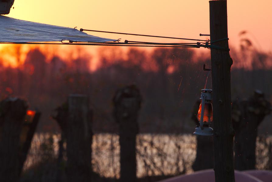 Abend am Bützower See