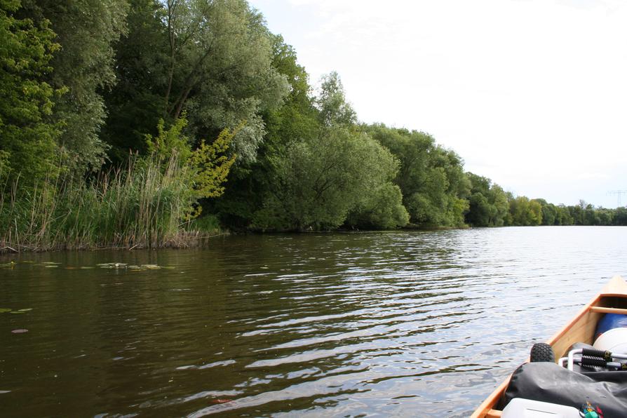 Die Havel vor dem Breitlingsee