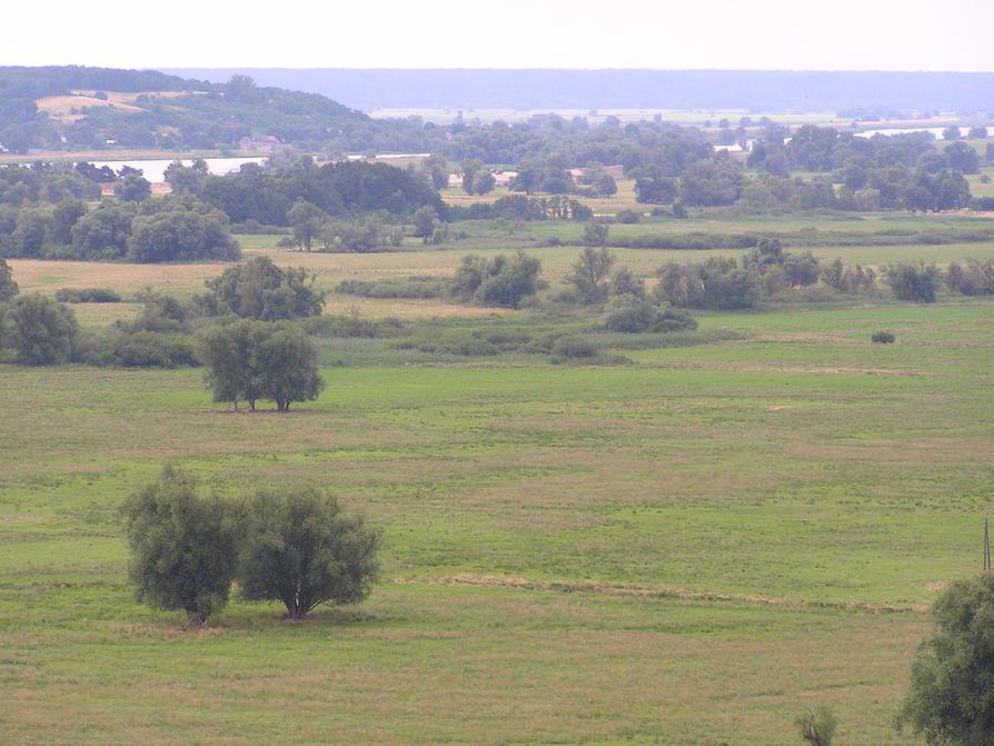 Blick vom Grützpott