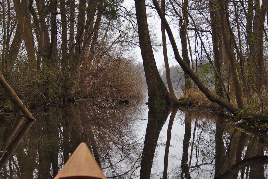 die Prinzeninsel im Großen Plöner See