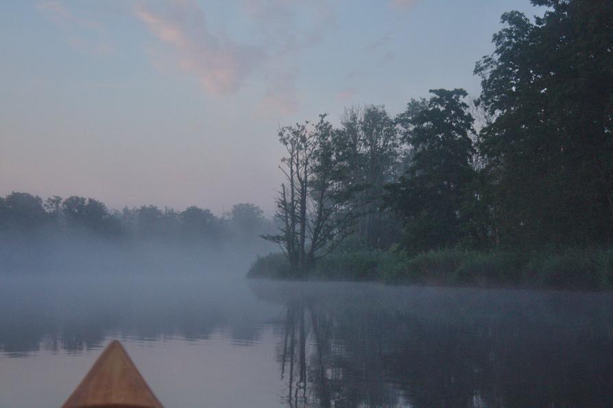 Morgennebel auf der Peene