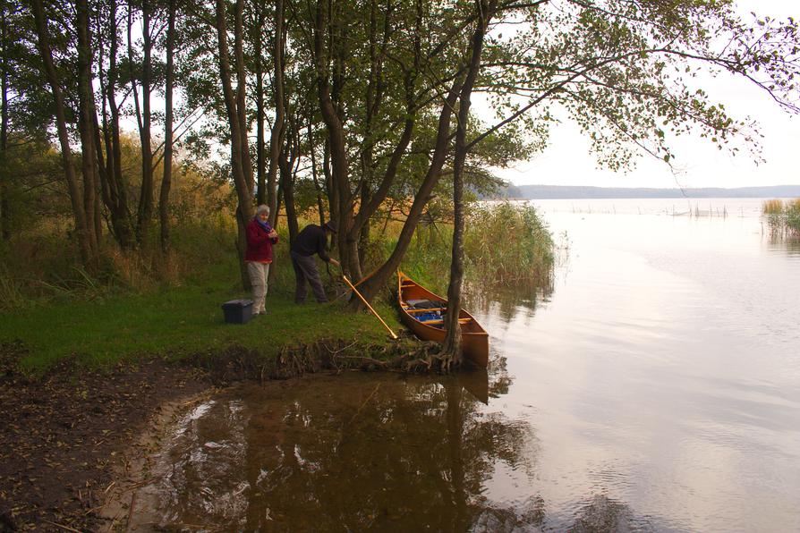 Holzkanu an der Eider