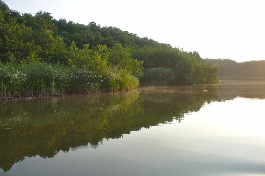 Morgenstimmung auf dem Großen Plöner See