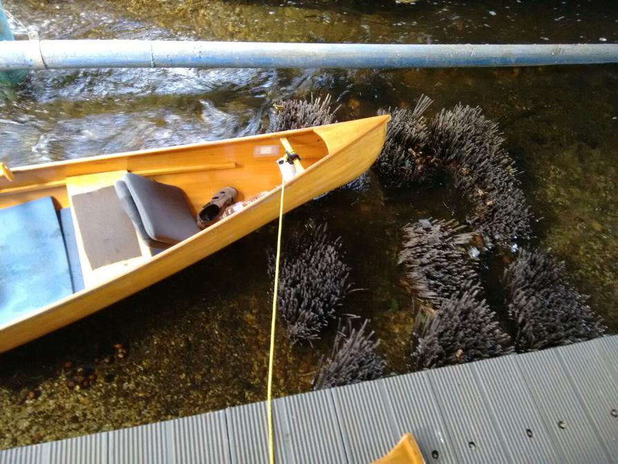 Borsten-Fisch-Kanupass in Plön-Spitzenort