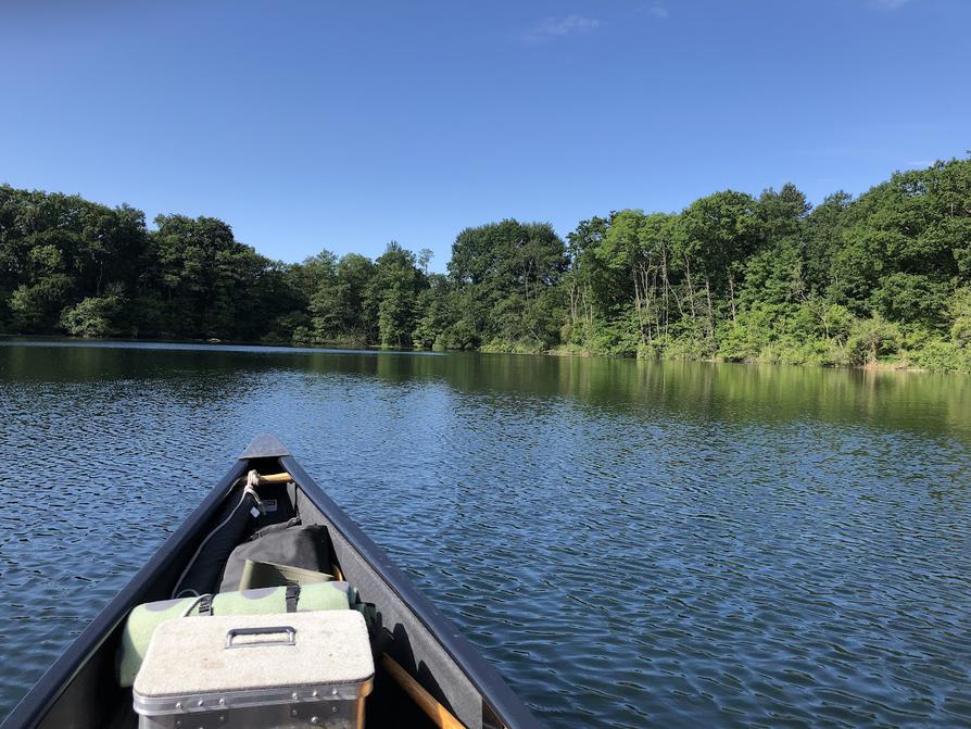 Zurück im Langen See