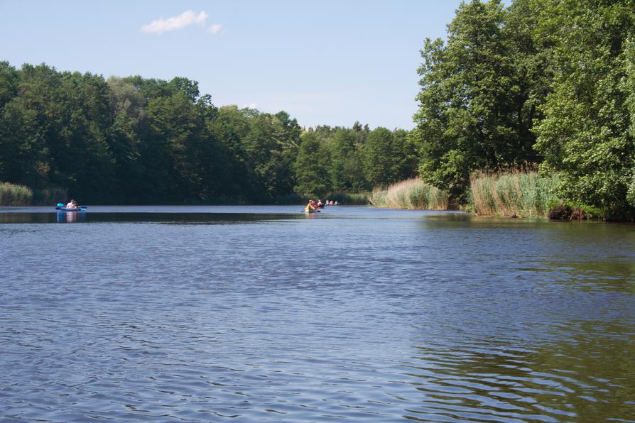 Spree vor Beeskow