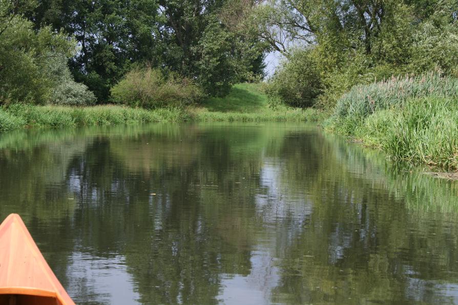 Wriezener Alte Oder unterhaln Neugaul