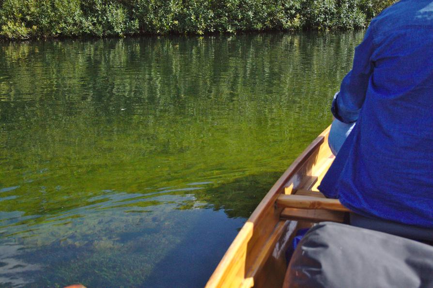 klares Wasser im Mühlensee